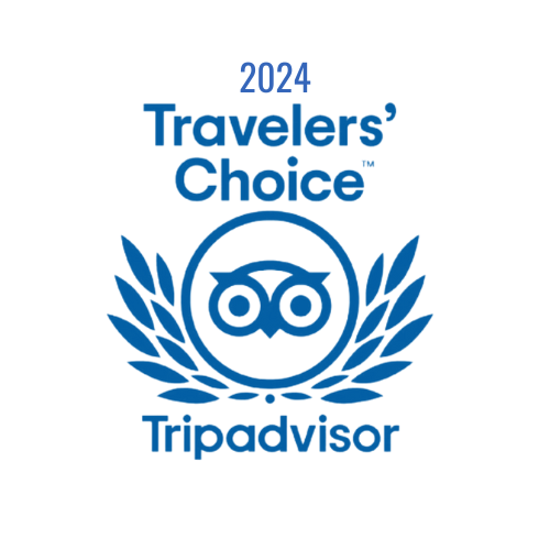 2024 logo, company name